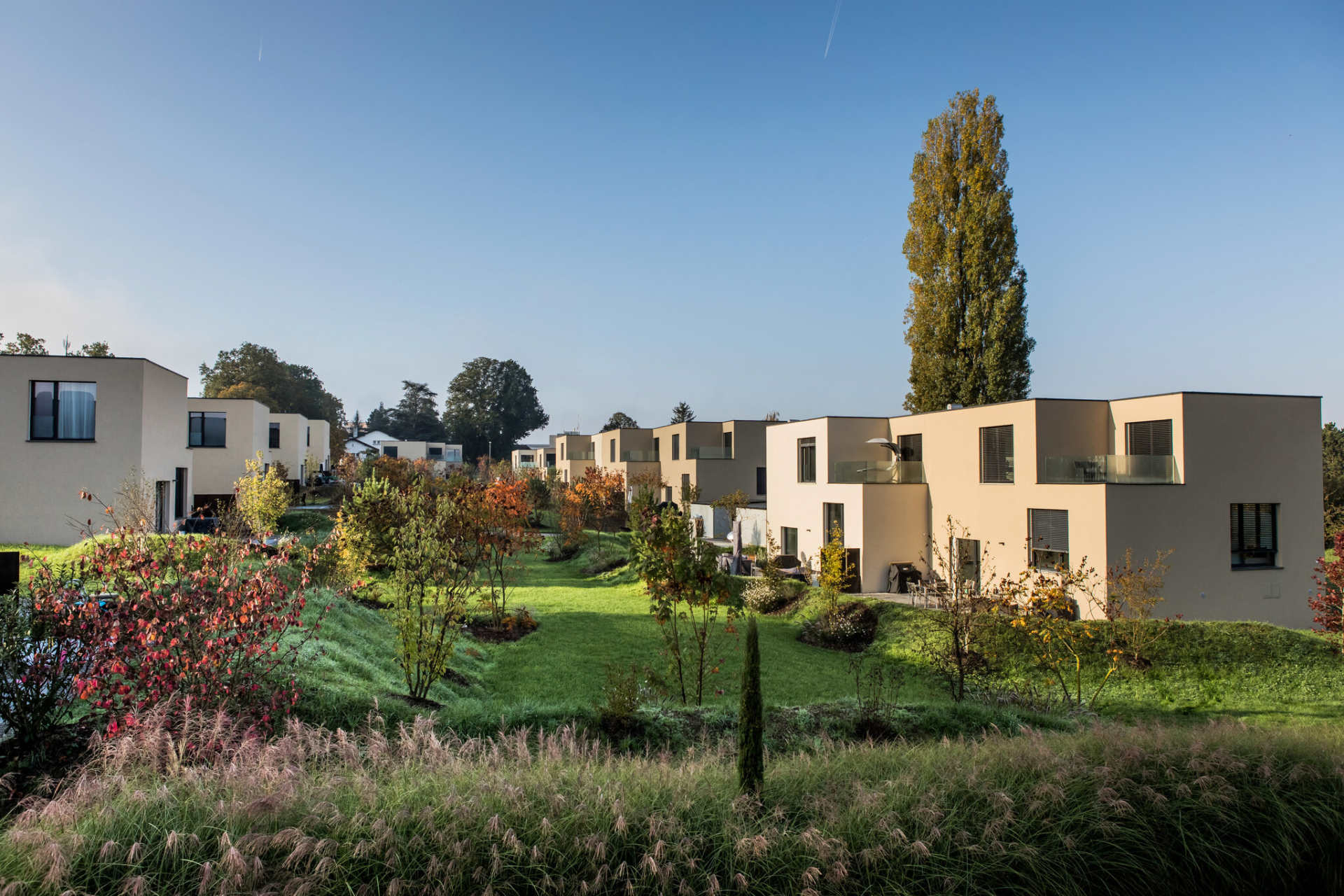 Espace CIM, Sansui, Payerne, Suisse, Octobre 2019
